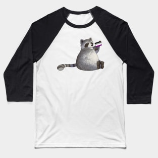 Asexual Pride Raccoon Baseball T-Shirt